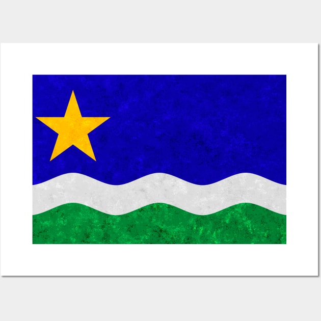 State flag of Minnesota Wall Art by Enzwell